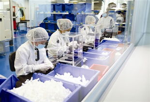 望牛墩每年投千萬助企業倍增，辦公用品行業迎發展新機遇