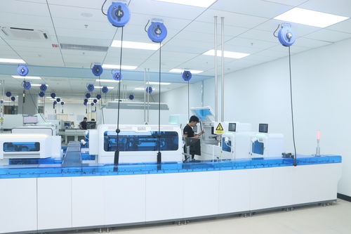 AI深度賦能 創(chuàng)新驅(qū)動下的新產(chǎn)業(yè)公司效率提升與開發(fā)轉(zhuǎn)型